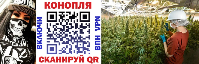 Купить ГАШ Бошки Шишки COCAIN Амфетамин МЕФ Электрогорск