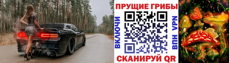 Купить  Электрогорск  Псилоцибиновые грибы Cubensis 